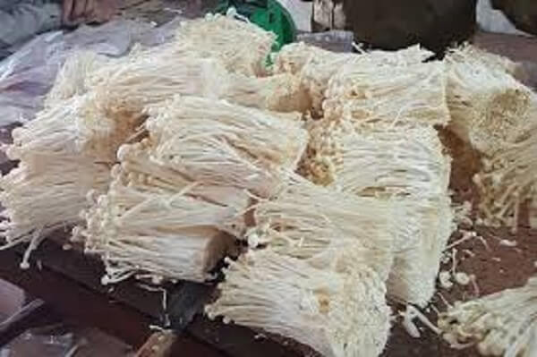 Nam-kim-cham-kem-chat-luong-an-toan-ve-sinh