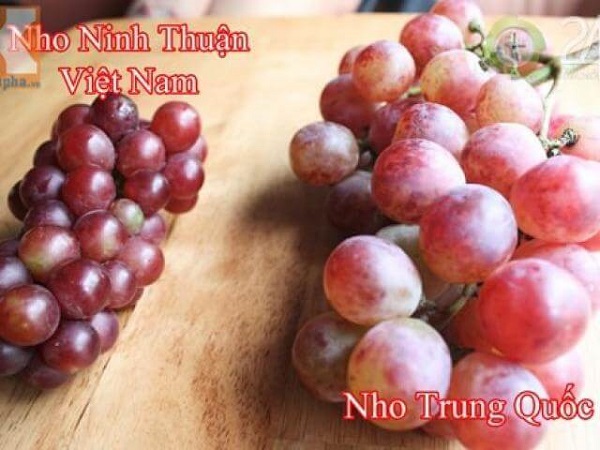Nhan-biet-nho-Trung-Quoc