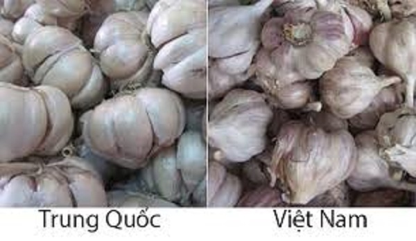 Phan-biet-toi-Trung-Quoc-va-Viet-Nam