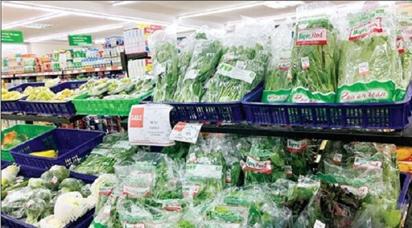 Rau-duoc-san-xuat-voi-tieu-chuan-Viet-GAP