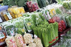 Tìm kiếm một sản phẩm rau sạch không phải điều khó