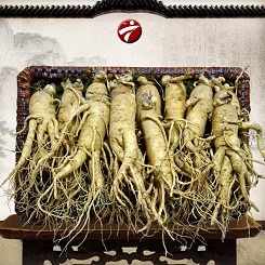 Sam tuoi Han Quoc va nhung dieu can biet