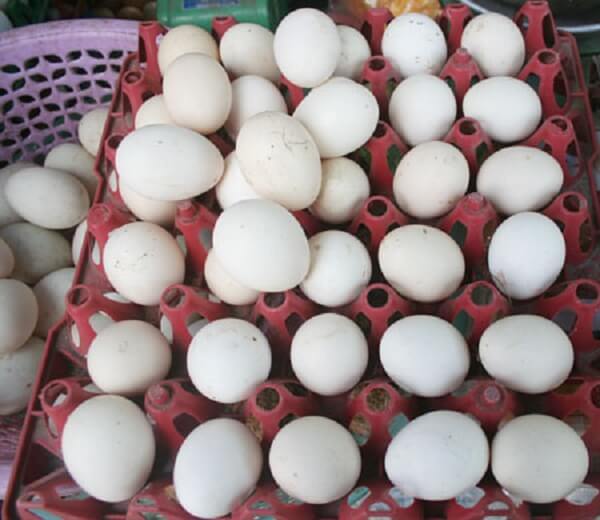 Trung-ga-khong-duoc-kiem-dinh-chat-luong-co-the-gay-nhieu-nguy-co-cho-nguoi-su-dung