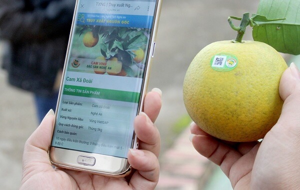 Truy-vet-nguon-goc-trai-cay-dam-bao-suc-khoe-cho-nguoi-dung