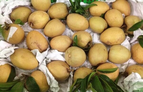 Truy-xuat-nguon-goc-hong-xiem-dam-bao-suc-khoe