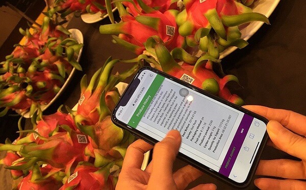 Truy-xuat-nguon-goc-mang-nhieu-loi-ich-trong-viec-xuat-khau