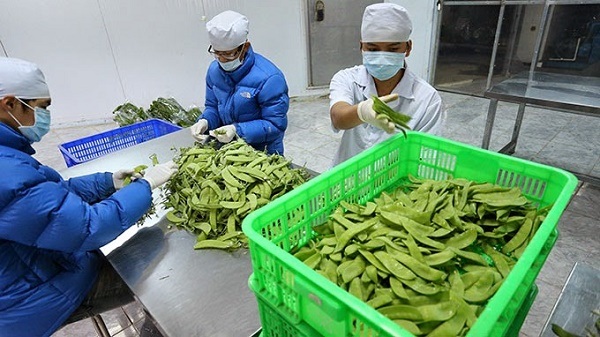 Tại sao cần truy xuất nguồn gốc sản phẩm?