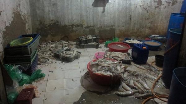 Tình hình tiêu thụ hải sản ngâm hóa chất trên thị trường