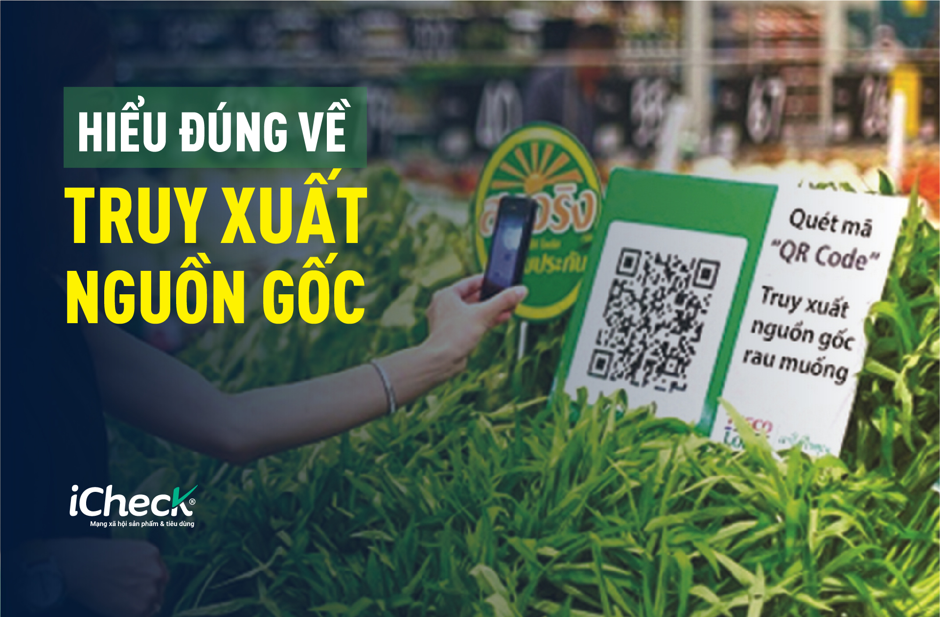 HIỂU ĐÚNG HIỂU ĐỦ VỀ TRUY XUẤT NGUỒN GỐC CHO SẢN PHẨM OCOP