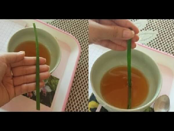 nhan-biet-mat-ong-tu-nhien-qua-cong-hanh