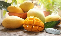 Những loại trái cây có mặt tại thị trường Mỹ