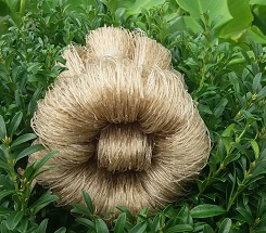 Nhan biet mien sach dam bao suc khoe cho gia dinh 