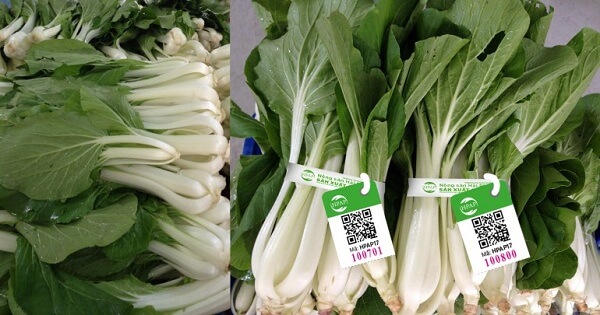 rau-sach-duoc-khang-dinh-qua-con-tem-nho-be