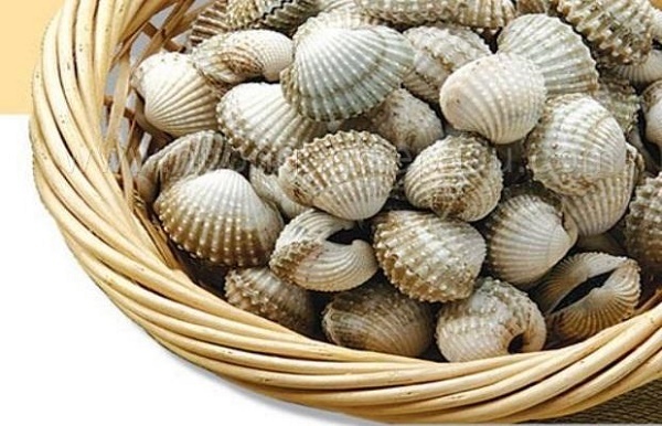 Mẹo nhận biết sò chất lượng