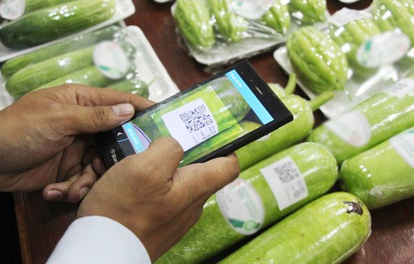 Những điều cần biết về tem truy xuất nguồn gốc