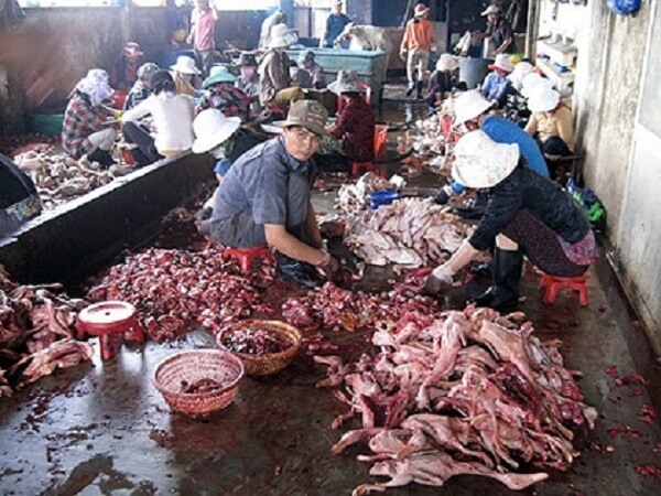 Thuc-pham-ban-lan-tran-moi-ngoc-ngach