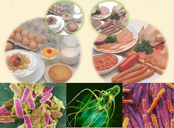 Nhung thuc pham co nguy co nhiem ban cao dip tet 2019