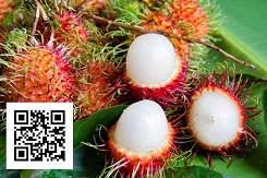 Mẹo lựa chọn được những trái chôm chôm hoàn hảo nhất 