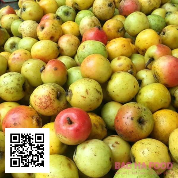 truy-xuat-nguon-goc-tao-meo