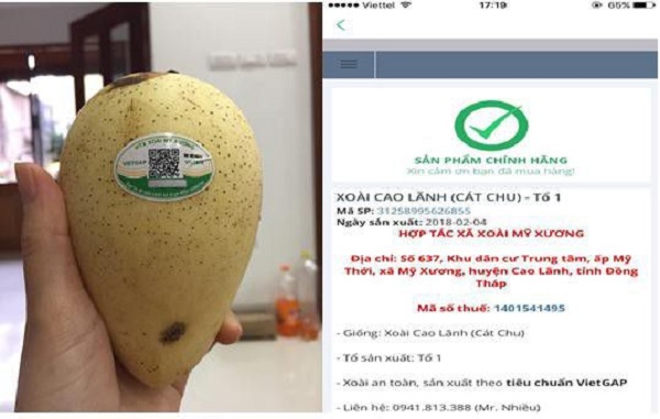 truy-xuat-nguon-goc-trai-cay-bang-ung-dung-icheck-scanner