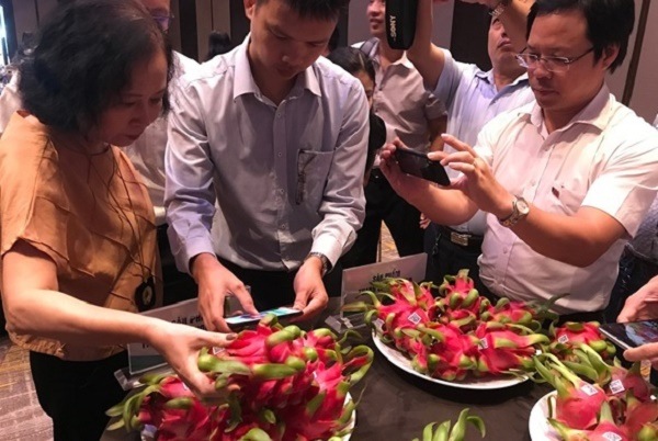 Công nghệ blockchain trong truy xuất nguồn gốc Công nghệ blockchain trong truy xuất nguồn gốc